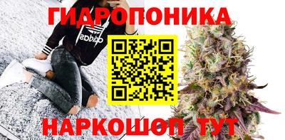 метадон Кингисепп
