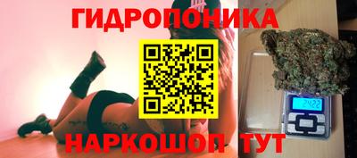 скорость Кимры