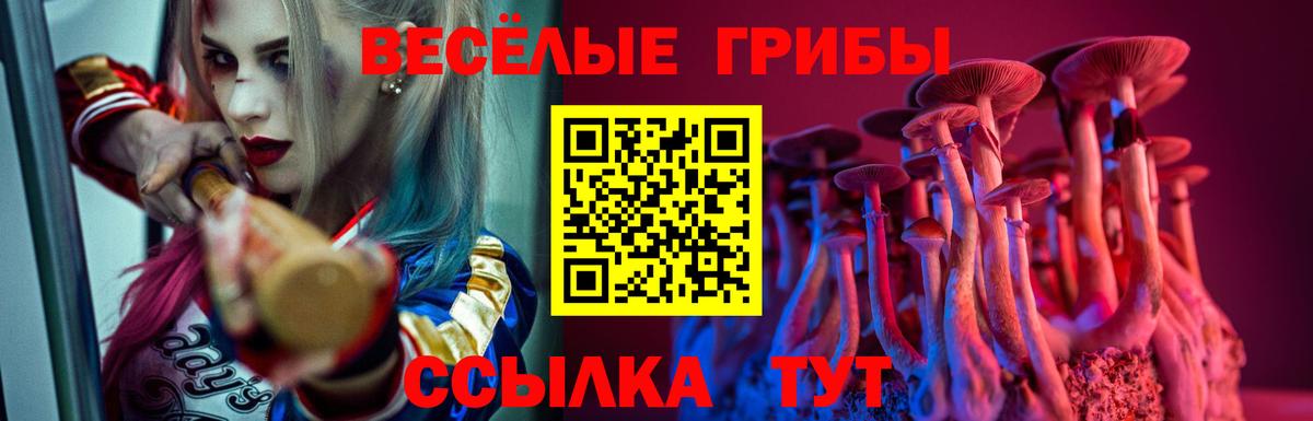 Елабуга  Псилоцибиновые грибы Cubensis  Вход с VPN 